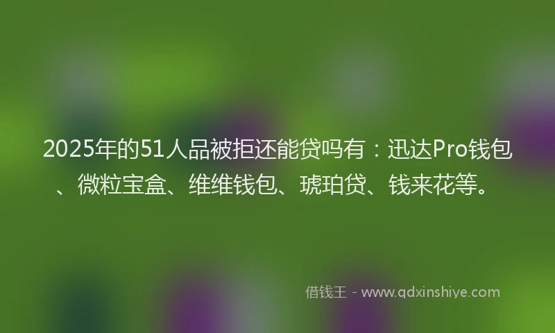 2025年的51人品被拒还能贷吗有：迅达Pro钱包、微粒宝盒、维维钱包、琥珀贷、钱来花等。