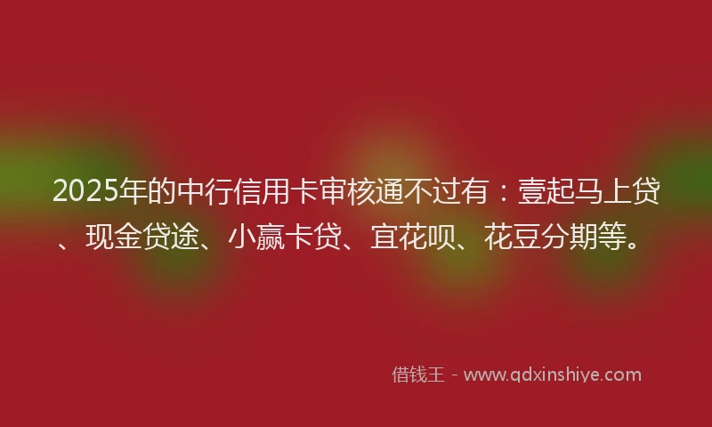 2025年的中行信用卡审核通不过有：壹起马上贷、现金贷途、小赢卡贷、宜花呗、花豆分期等。