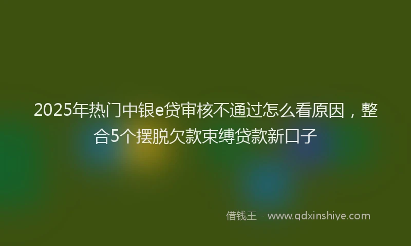 2025年热门中银e贷审核不通过怎么看原因，整合5个摆脱欠款束缚贷款新口子