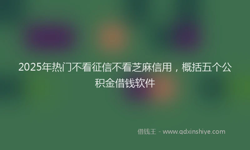 2025年热门不看征信不看芝麻信用，概括五个公积金借钱软件