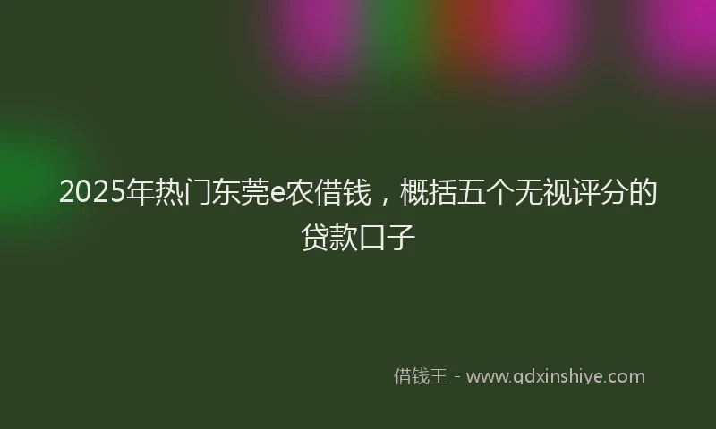 2025年热门东莞e农借钱，概括五个无视评分的贷款口子