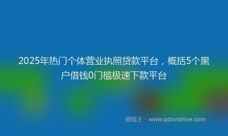2025年热门个体营业执照贷款平台，概括5个黑户借钱0门槛极速下款平台