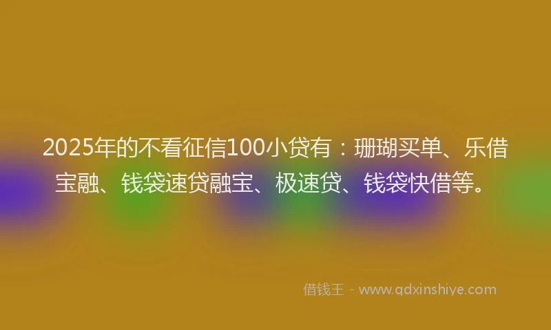 2025年的不看征信100小贷有：珊瑚买单、乐借宝融、钱袋速贷融宝、极速贷、钱袋快借等。