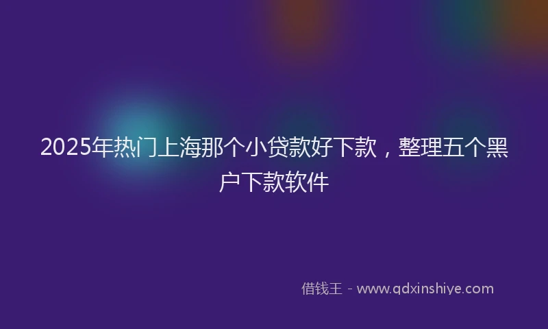 2025年热门上海那个小贷款好下款，整理五个黑户下款软件