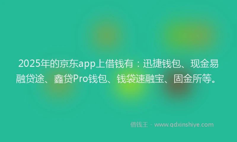2025年的京东app上借钱有：迅捷钱包、现金易融贷途、鑫贷Pro钱包、钱袋速融宝、固金所等。