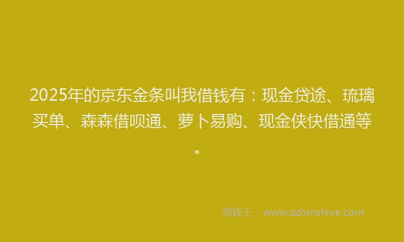 2025年的京东金条叫我借钱有：现金贷途、琉璃买单、森森借呗通、萝卜易购、现金侠快借通等。