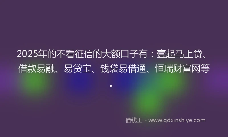 2025年的不看征信的大额口子有：壹起马上贷、借款易融、易贷宝、钱袋易借通、恒瑞财富网等。