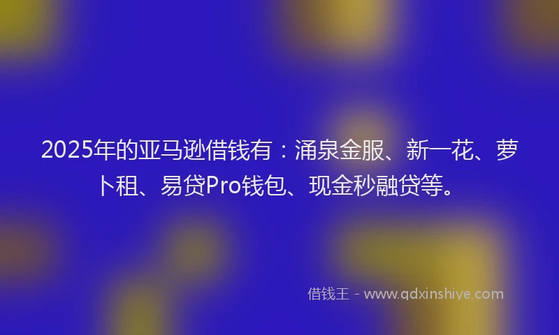 2025年的亚马逊借钱有：涌泉金服、新一花、萝卜租、易贷Pro钱包、现金秒融贷等。