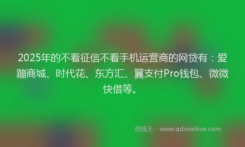 2025年的不看征信不看手机运营商的网贷有：爱蹦商城、时代花、东方汇、翼支付Pro钱包、微微快借等。