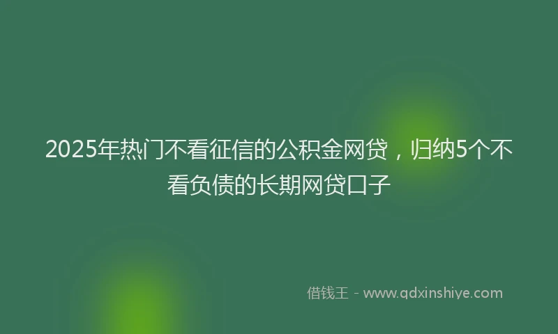 2025年热门不看征信的公积金网贷，归纳5个不看负债的长期网贷口子