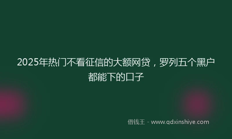 2025年热门不看征信的大额网贷，罗列五个黑户都能下的口子