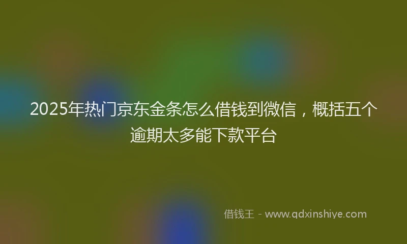 2025年热门京东金条怎么借钱到微信，概括五个逾期太多能下款平台
