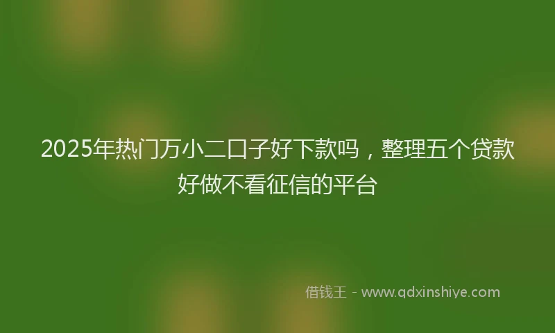 2025年热门万小二口子好下款吗，整理五个贷款好做不看征信的平台