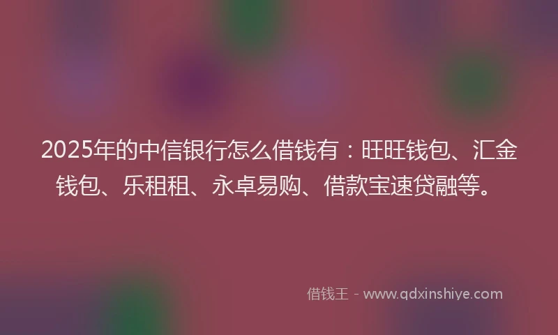 2025年的中信银行怎么借钱有：旺旺钱包、汇金钱包、乐租租、永卓易购、借款宝速贷融等。