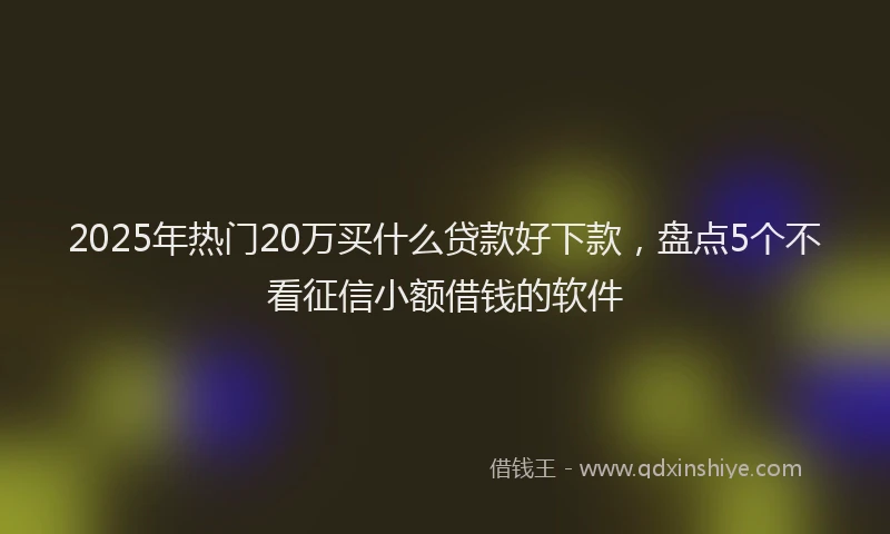 2025年热门20万买什么贷款好下款，盘点5个不看征信小额借钱的软件
