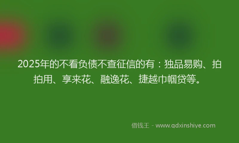 2025年的不看负债不查征信的有：独品易购、拍拍用、享来花、融逸花、捷越巾帼贷等。