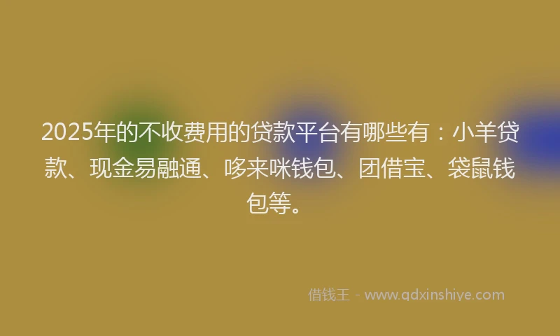 2025年的不收费用的贷款平台有哪些有：小羊贷款、现金易融通、哆来咪钱包、团借宝、袋鼠钱包等。