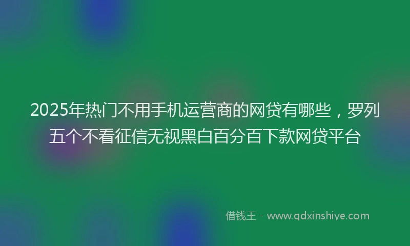 2025年热门不用手机运营商的网贷有哪些，罗列五个不看征信无视黑白百分百下款网贷平台