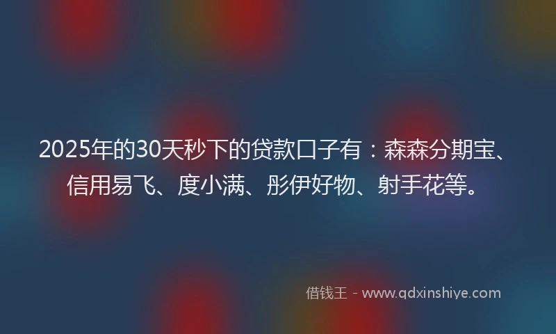 2025年的30天秒下的贷款口子有：森森分期宝、信用易飞、度小满、彤伊好物、射手花等。
