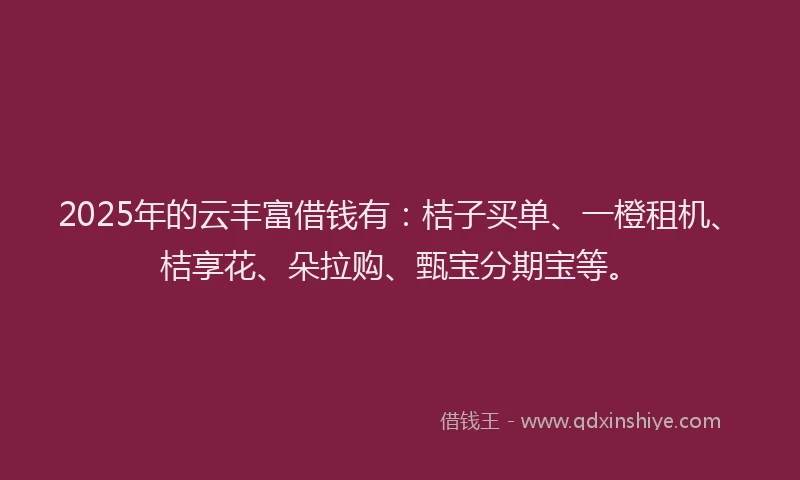 2025年的云丰富借钱有：桔子买单、一橙租机、桔享花、朵拉购、甄宝分期宝等。
