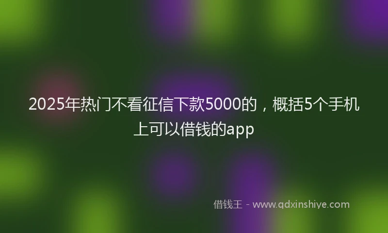 2025年热门不看征信下款5000的，概括5个手机上可以借钱的app
