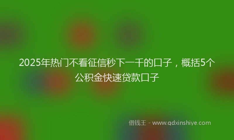 2025年热门不看征信秒下一千的口子，概括5个公积金快速贷款口子