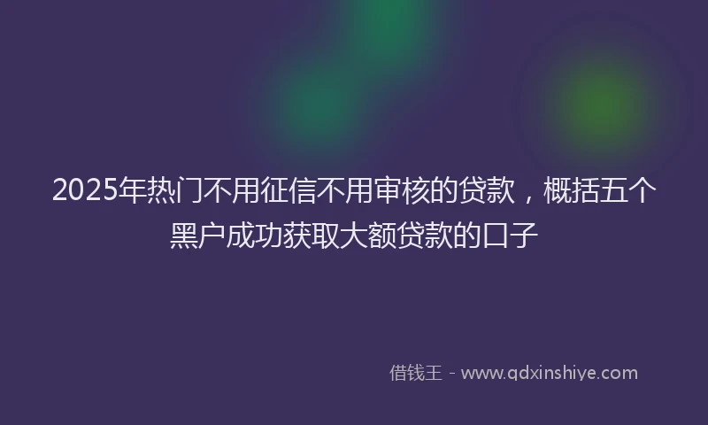 2025年热门不用征信不用审核的贷款，概括五个黑户成功获取大额贷款的口子