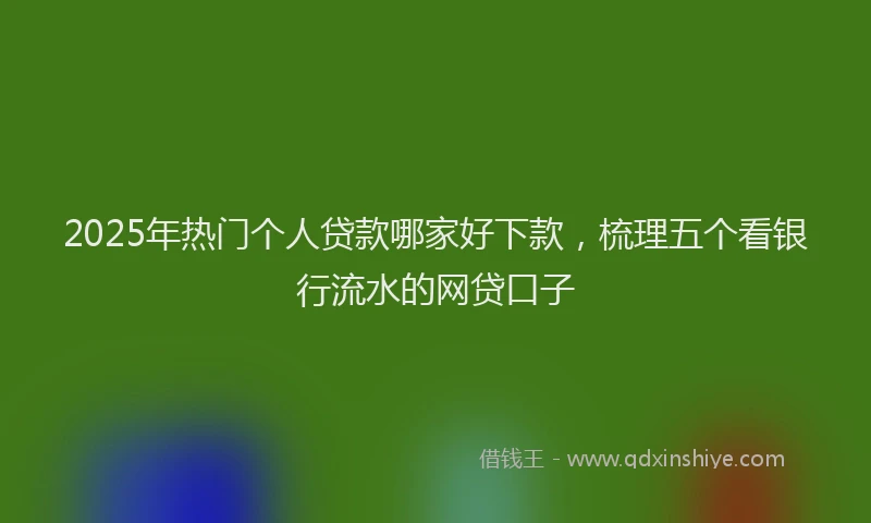 2025年热门个人贷款哪家好下款，梳理五个看银行流水的网贷口子