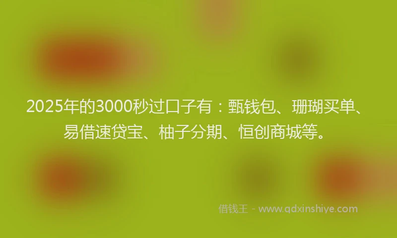 2025年的3000秒过口子有：甄钱包、珊瑚买单、易借速贷宝、柚子分期、恒创商城等。