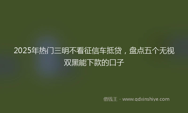 2025年热门三明不看征信车抵贷，盘点五个无视双黑能下款的口子