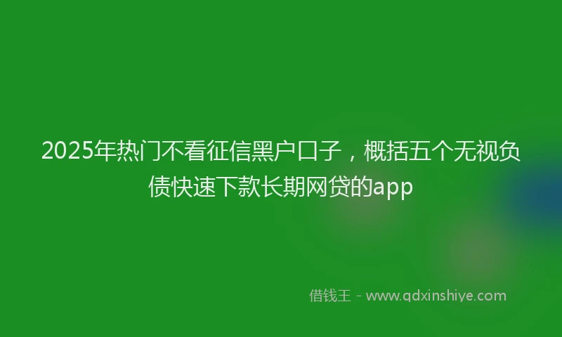 2025年热门不看征信黑户口子，概括五个无视负债快速下款长期网贷的app