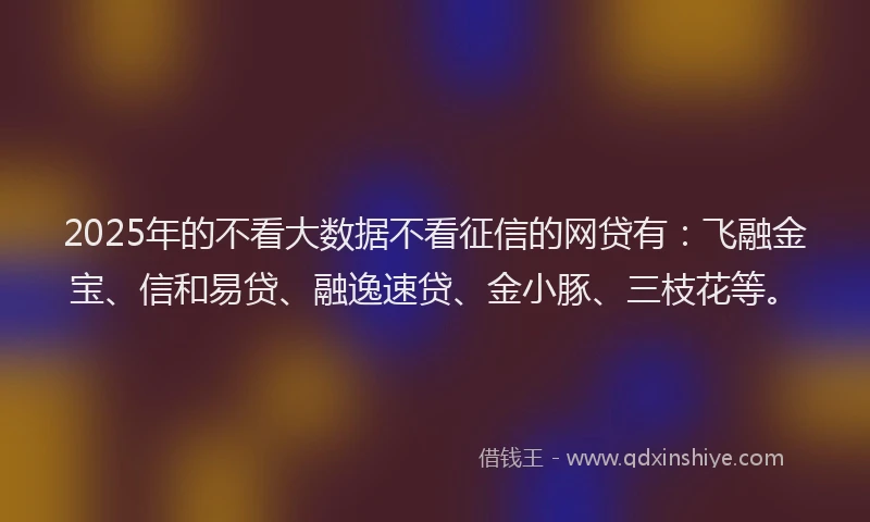 2025年的不看大数据不看征信的网贷有：飞融金宝、信和易贷、融逸速贷、金小豚、三枝花等。