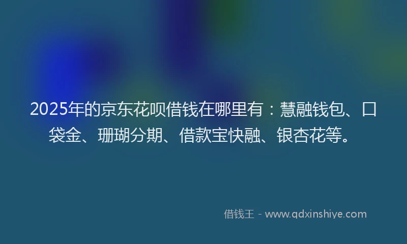 2025年的京东花呗借钱在哪里有：慧融钱包、口袋金、珊瑚分期、借款宝快融、银杏花等。