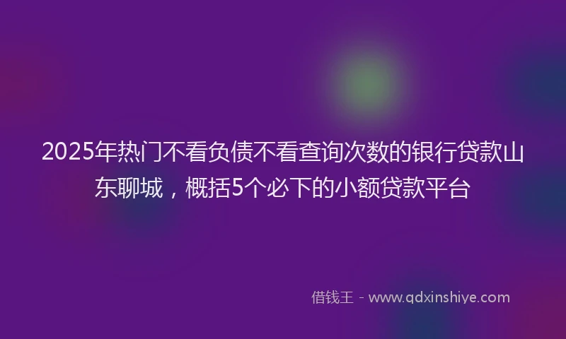 2025年热门不看负债不看查询次数的银行贷款山东聊城，概括5个必下的小额贷款平台