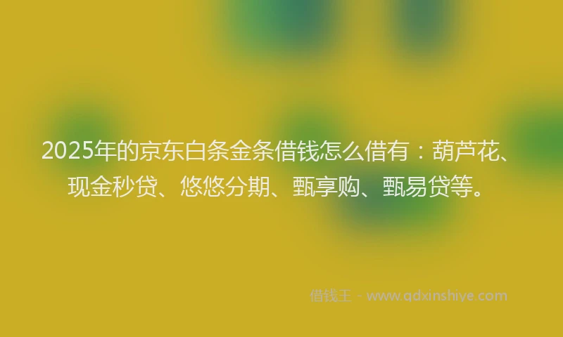 2025年的京东白条金条借钱怎么借有：葫芦花、现金秒贷、悠悠分期、甄享购、甄易贷等。