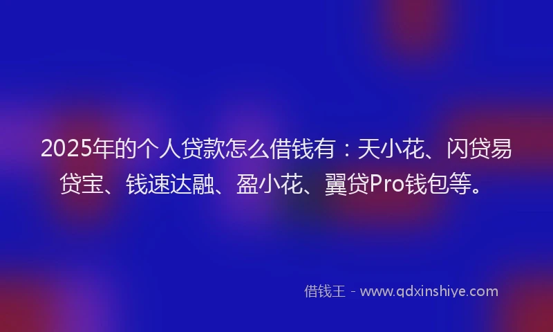 2025年的个人贷款怎么借钱有：天小花、闪贷易贷宝、钱速达融、盈小花、翼贷Pro钱包等。