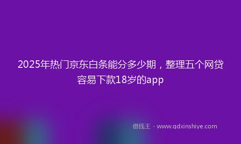 2025年热门京东白条能分多少期，整理五个网贷容易下款18岁的app