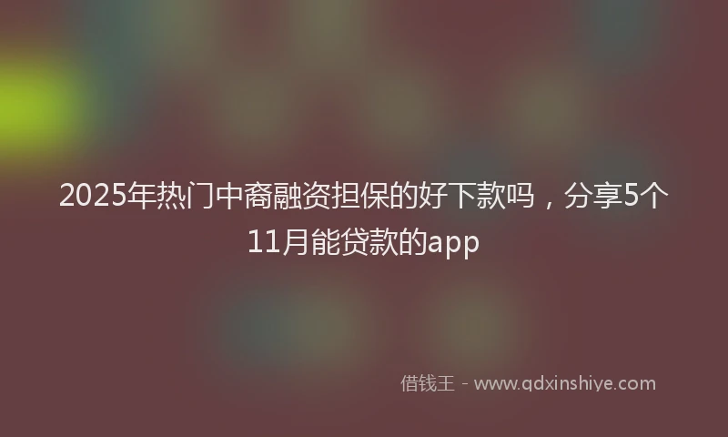 2025年热门中裔融资担保的好下款吗，分享5个11月能贷款的app
