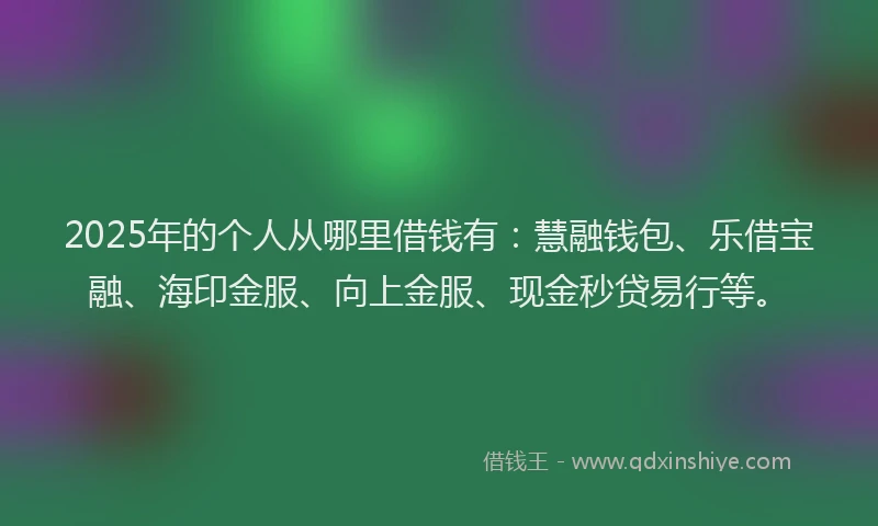 2025年的个人从哪里借钱有：慧融钱包、乐借宝融、海印金服、向上金服、现金秒贷易行等。