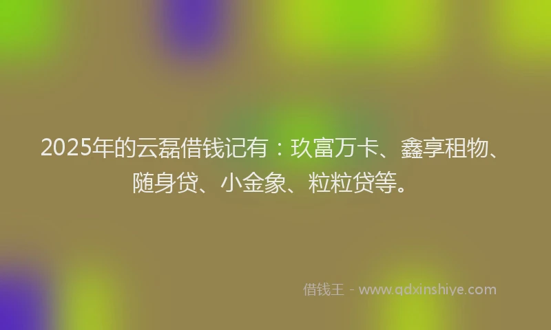 2025年的云磊借钱记有：玖富万卡、鑫享租物、随身贷、小金象、粒粒贷等。