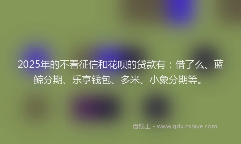 2025年的不看征信和花呗的贷款有：借了么、蓝鲸分期、乐享钱包、多米、小象分期等。