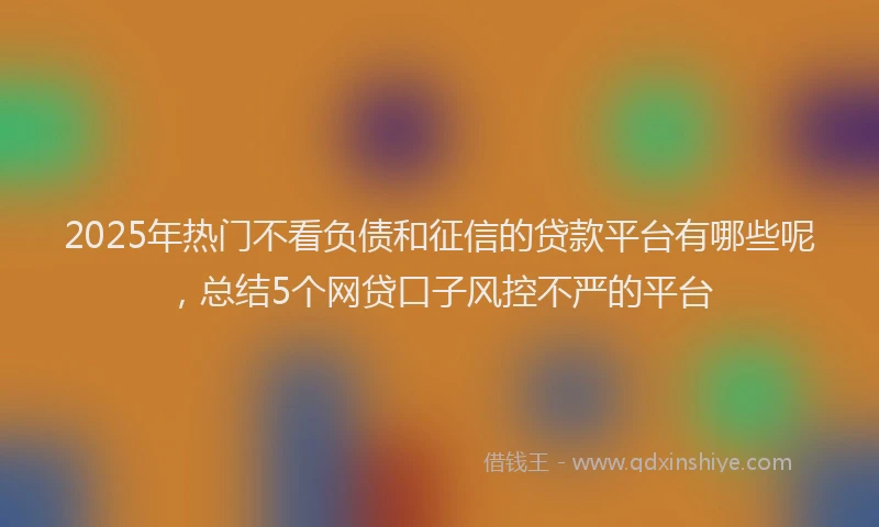 2025年热门不看负债和征信的贷款平台有哪些呢，总结5个网贷口子风控不严的平台