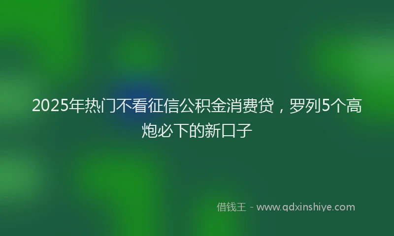 2025年热门不看征信公积金消费贷，罗列5个高炮必下的新口子