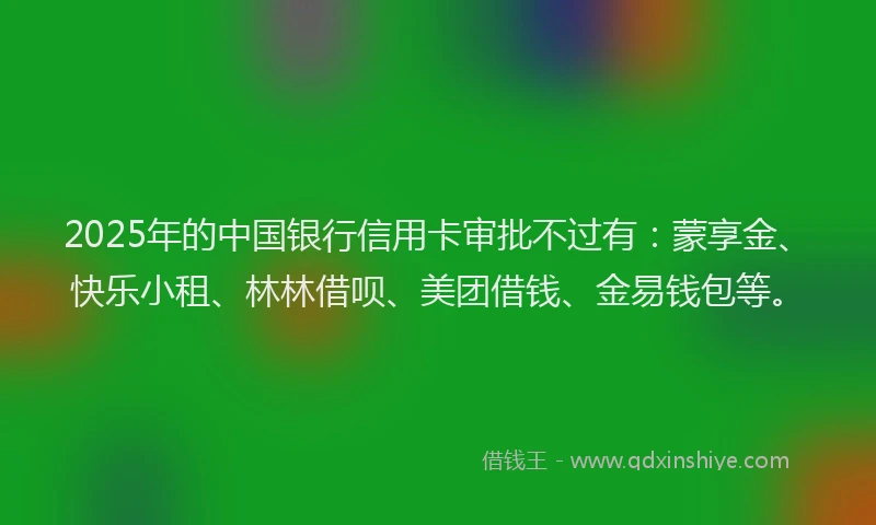 2025年的中国银行信用卡审批不过有：蒙享金、快乐小租、林林借呗、美团借钱、金易钱包等。