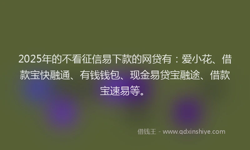 2025年的不看征信易下款的网贷有：爱小花、借款宝快融通、有钱钱包、现金易贷宝融途、借款宝速易等。
