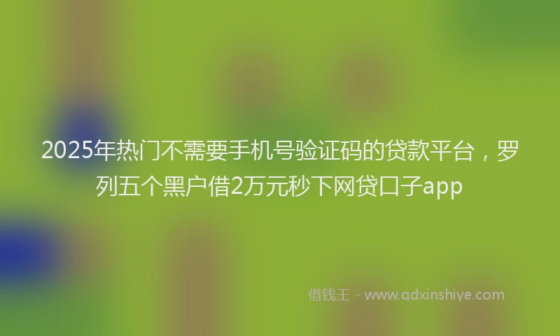 2025年热门不需要手机号验证码的贷款平台，罗列五个黑户借2万元秒下网贷口子app