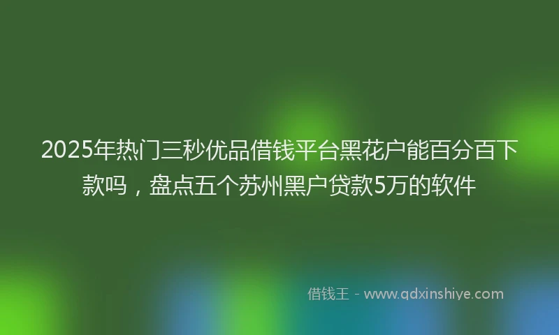 2025年热门三秒优品借钱平台黑花户能百分百下款吗，盘点五个苏州黑户贷款5万的软件