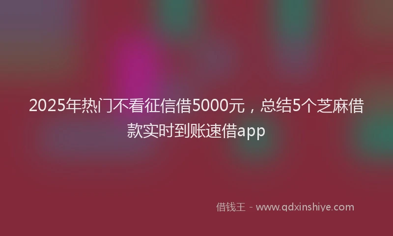 2025年热门不看征信借5000元，总结5个芝麻借款实时到账速借app