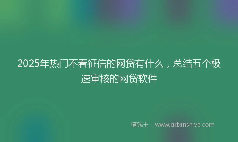 2025年热门不看征信的网贷有什么，总结五个极速审核的网贷软件