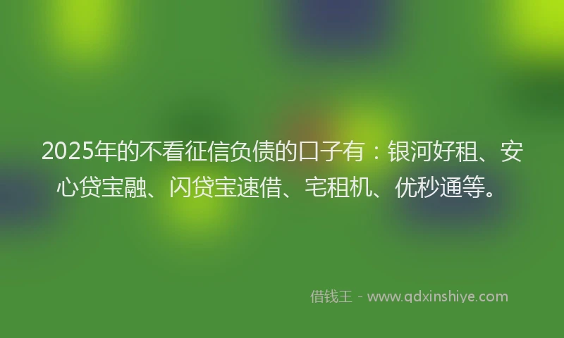 2025年的不看征信负债的口子有：银河好租、安心贷宝融、闪贷宝速借、宅租机、优秒通等。